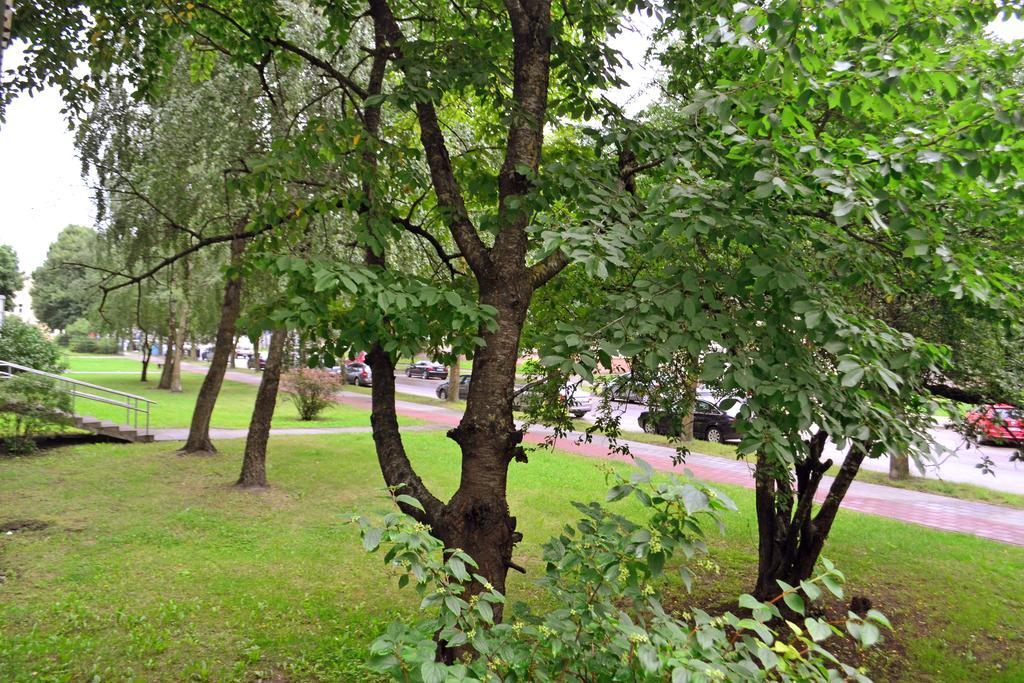 Siauliai City Apartment Buitenkant foto